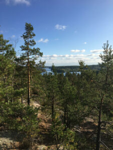 Metsänäkymä Nuuksion kansallispuittosta.